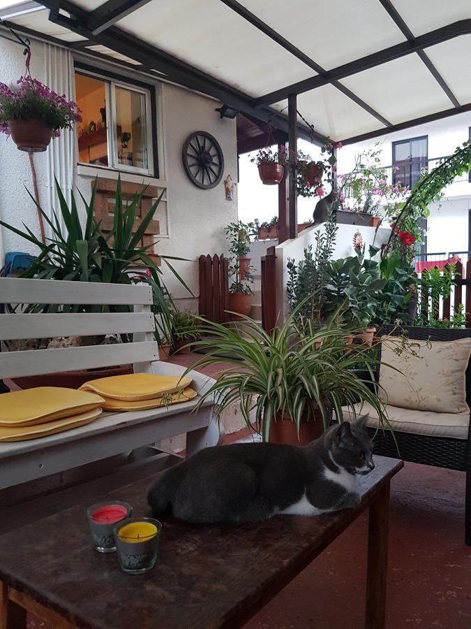 Estia Vasilis Manoli Apartment Ayia Napa Bagian luar foto